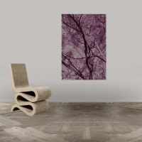 http://www.photos-toile.fr/photo-nature/84-photo-branches-aubergine.html